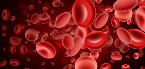 كم خلية دم حمراء يستطيع أنتاجها الجسم في اليوم الواحد